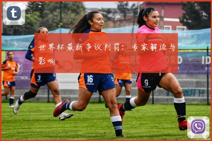 世界杯最新争议判罚:专家解读与影响