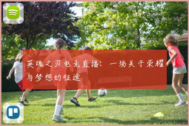 英魂之刃电竞直播：一场关于荣耀与梦想的征途